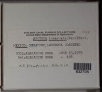 Image Associated With the Occurence